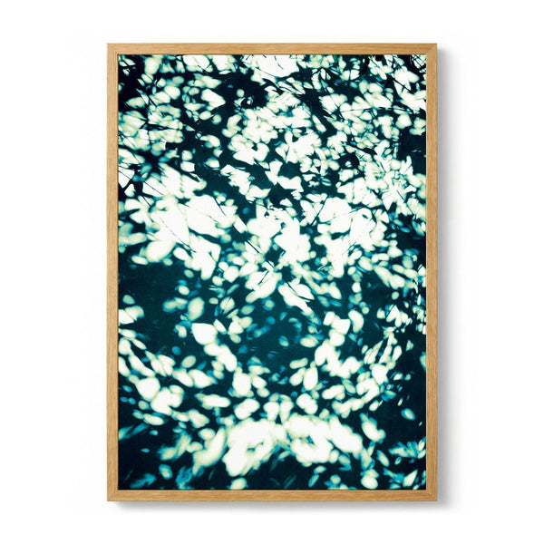 Dappled Light Leaves by Angelo Cerantola