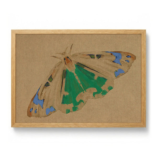 Delicate Green Moth by Josie George