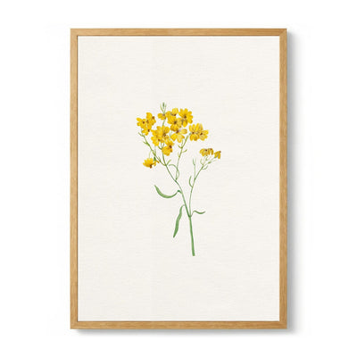 Delicate Yellow Blooms de Wild Violets