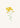 Delicate Yellow Blooms by Wild Violets - Kuriosis Fine Art GmbH