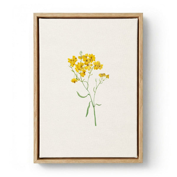 Delicate Yellow Blooms di Wild Violets