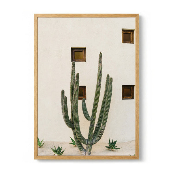 Desert Cactus Garden by Bethany Young