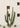 Desert Cactus Garden by Bethany Young - Kuriosis Fine Art GmbH