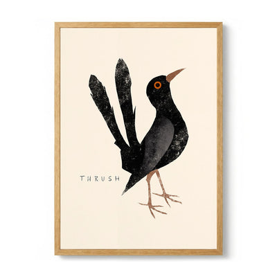 Elegant Black Thrush de Josephin Hermsdorf