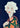 Elegant Floral Woman by CATS AND DOTZ - Kuriosis Fine Art GmbH