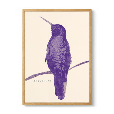 Elegant Violet Hummingbird de Josephin Hermsdorf