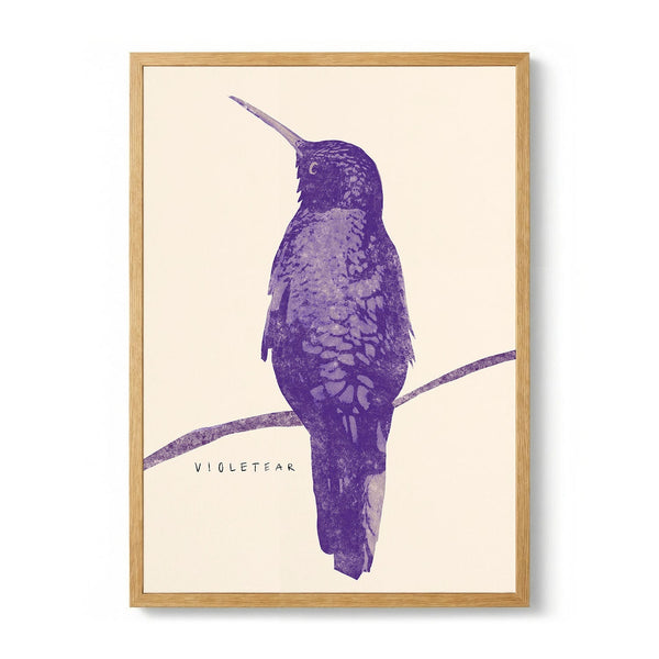 Elegant Violet Hummingbird by Josephin Hermsdorf