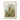 Filicinae Palm Tree by Ernst Haeckel - Kuriosis Fine Art GmbH