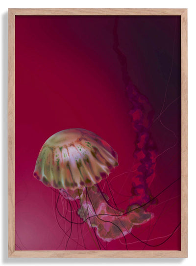 Fire Starter Jellyfish door Julia Charlott