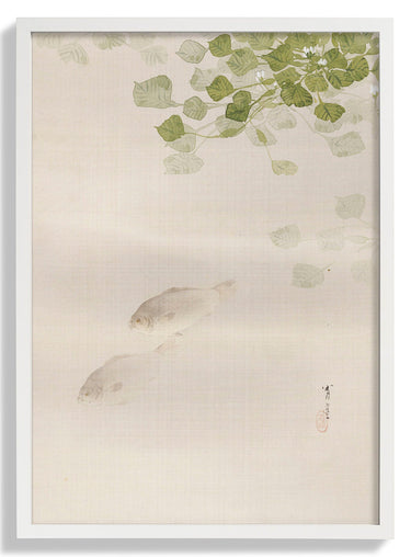Fish (1887) by WANTANABE SEITEI - Kuriosis Fine Art GmbH