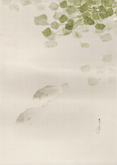 Fish (1887) by WANTANABE SEITEI - Kuriosis Fine Art GmbH