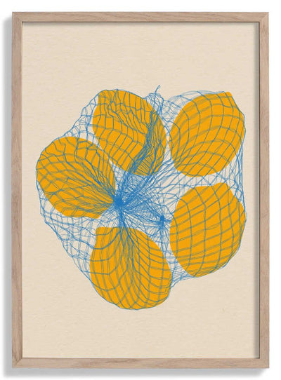 Five Lemons In a Net Bag door Rosi Feist