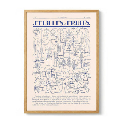 Fleurs et Fruits di Astër
