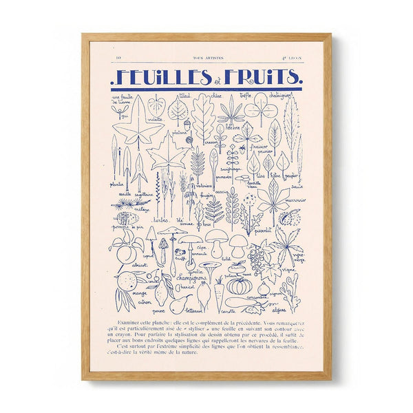 Fleurs et Fruits di Astër