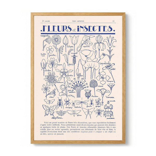 Fleurs et Insectes di Astër