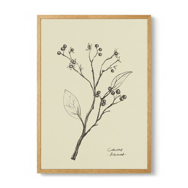 Floral 2 di Dan Hobday