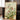Flowers Pictufy by Pictufy - Kuriosis Fine Art GmbH