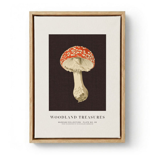 Fly Agaric Botanical Study by Alexandra Weise