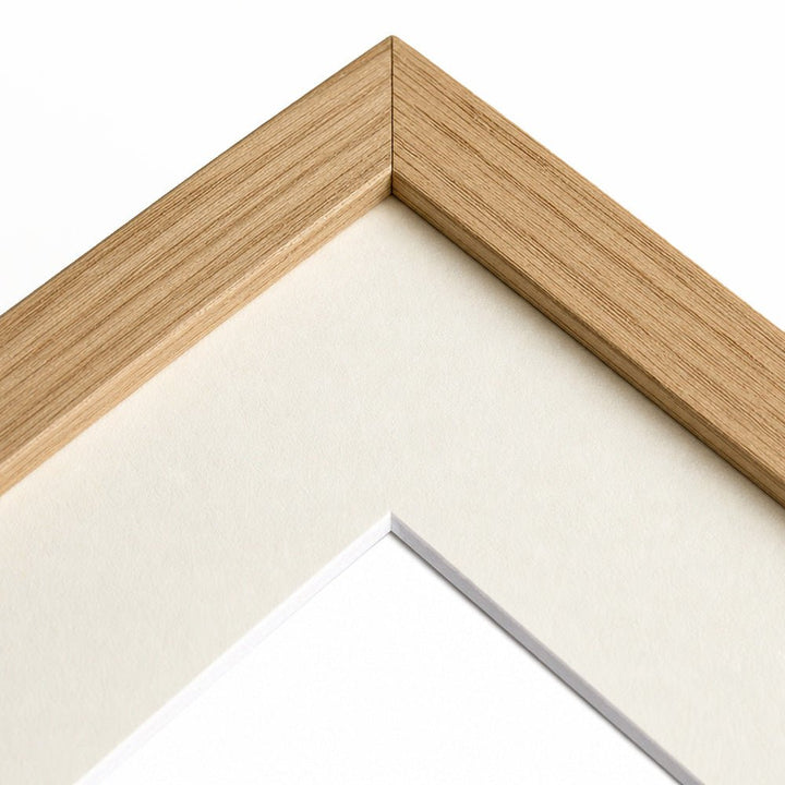 Frame Mount