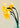 Fresh Spring Daffodils by Angelo Cerantola - Kuriosis Fine Art GmbH