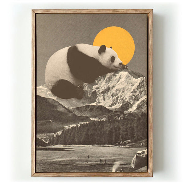 Giant Panda Nap by Florent Bodart - Kuriosis Fine Art GmbH