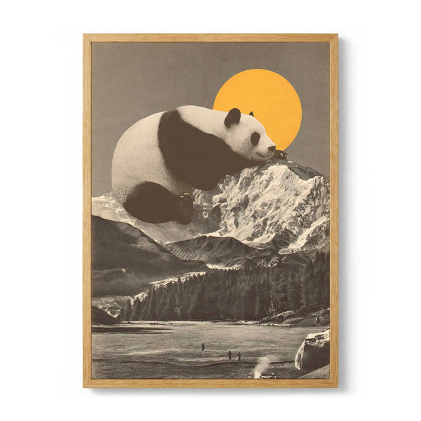 Giant Panda Nap by Florent Bodart - Kuriosis Fine Art GmbH