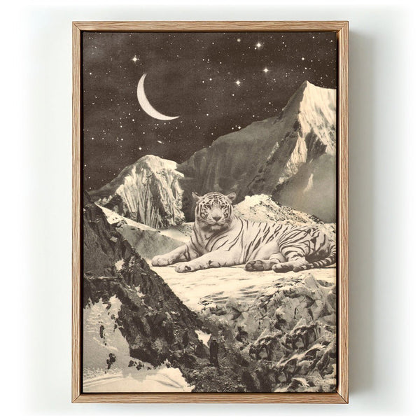 Giant White tiger in Mountains by Florent Bodart - Kuriosis Fine Art GmbH