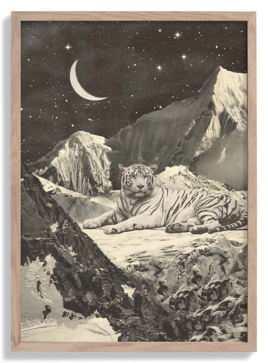 Giant White tiger in Mountains by Florent Bodart - Kuriosis Fine Art GmbH