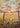 Golden Autumn Sunset by Luisa Millicent - Kuriosis Fine Art GmbH