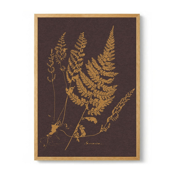 Golden Fern Botanical by Wild Violets