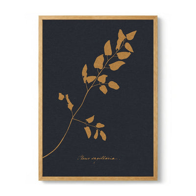 Golden Fern Silhouette de Wild Violets