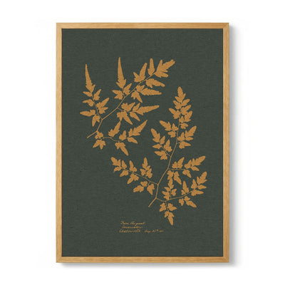 Golden Fern Silhouettes de Wild Violets