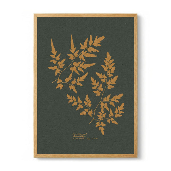 Golden Fern Silhouettes by Wild Violets