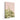 Green Aloe Pink Wall by Henrike Schenk - Kuriosis Fine Art GmbH