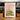 Green Aloe Pink Wall by Henrike Schenk - Kuriosis Fine Art GmbH