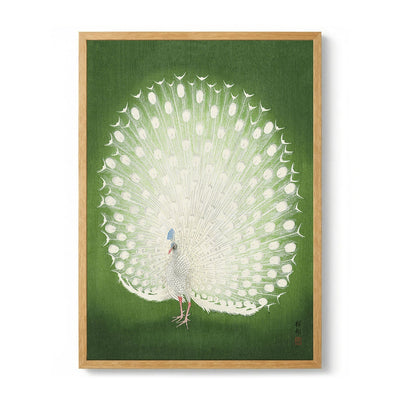 Green Peacock by Koson