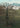 Greenwich Tree And City by Aimee Giles - Kuriosis Fine Art GmbH