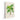 Grisebachia Belmoreana Palm Tree Art Print - Kuriosis Fine Art GmbH