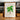 Grisebachia Belmoreana Palm Tree Art Print - Kuriosis Fine Art GmbH