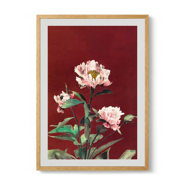 Hærdaceous Peony by Ogawa Kazumasa - Kuriosis Fine Art GmbH