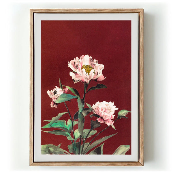 Hærdaceous Peony by Ogawa Kazumasa - Kuriosis Fine Art GmbH