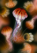 Hazy Party by Julia Charlott - Kuriosis Fine Art GmbH