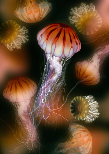 Hazy Party by Julia Charlott - Kuriosis Fine Art GmbH