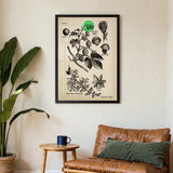 Hops - Kuriosis Fine Art GmbH