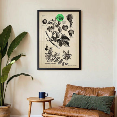 Hops - Kuriosis Fine Art GmbH