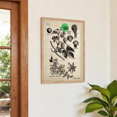 Hops - Kuriosis Fine Art GmbH