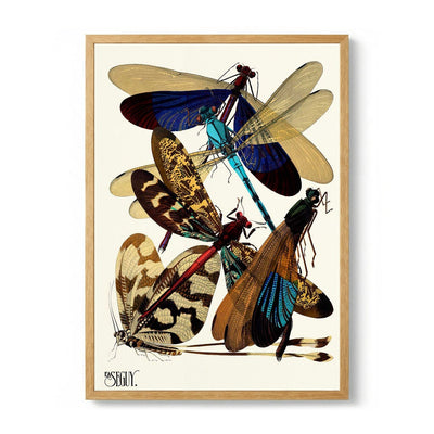 Insectes Pl.02 by Émile-Allain Séguy