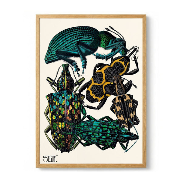 Insectes Pl.06 by Émile-Allain Séguy