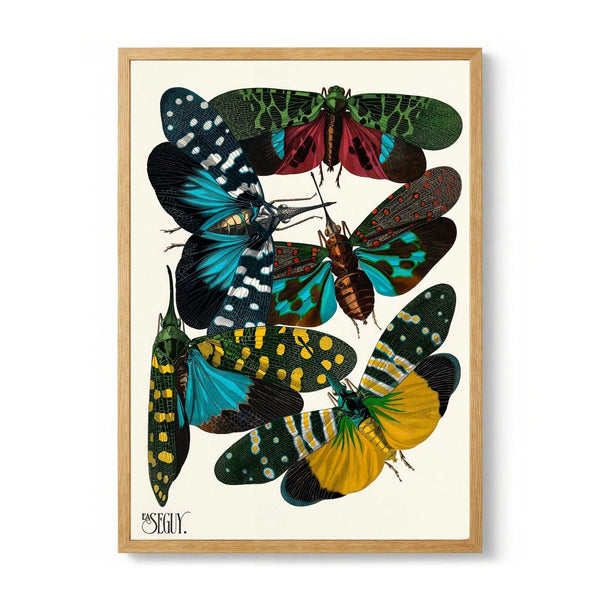 Insectes Pl.08 von Émile-Allain Séguy