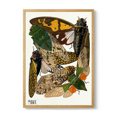Insectes Pl.12 by Émile-Allain Séguy